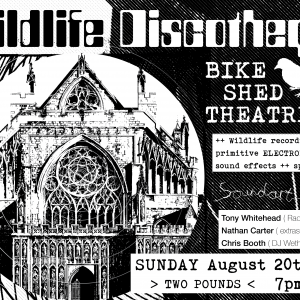 The Wildlife Discotheque Show